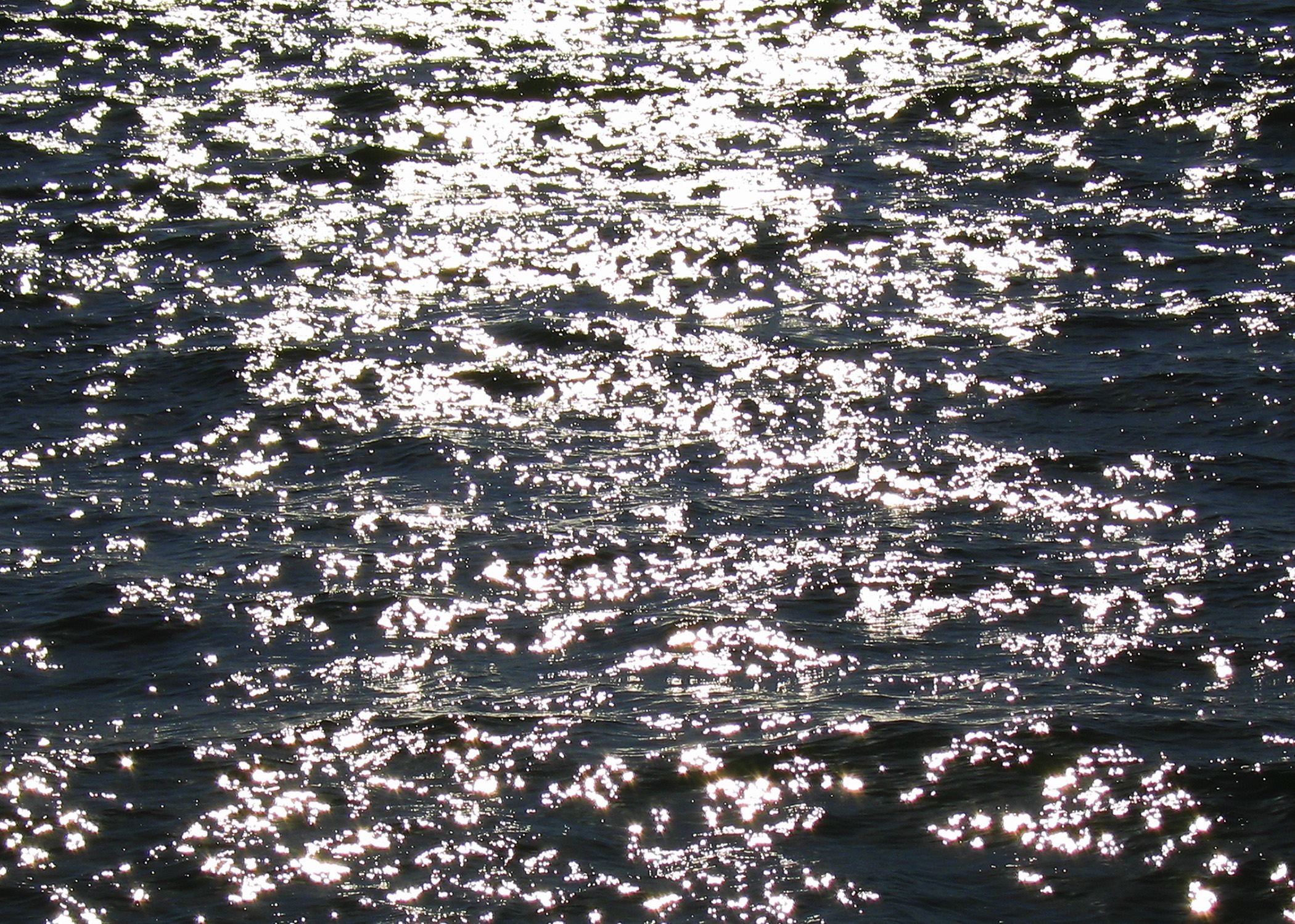 Alfredo Jaar