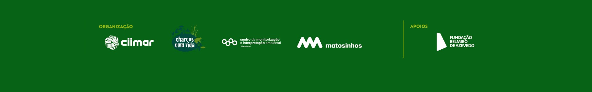 Anfíbios: uma pata na Água, outra na Terra | CM Matosinhos