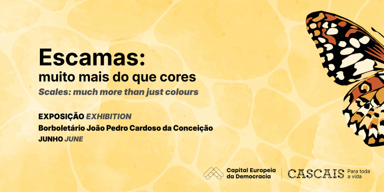 Scales: Much More Than Colours