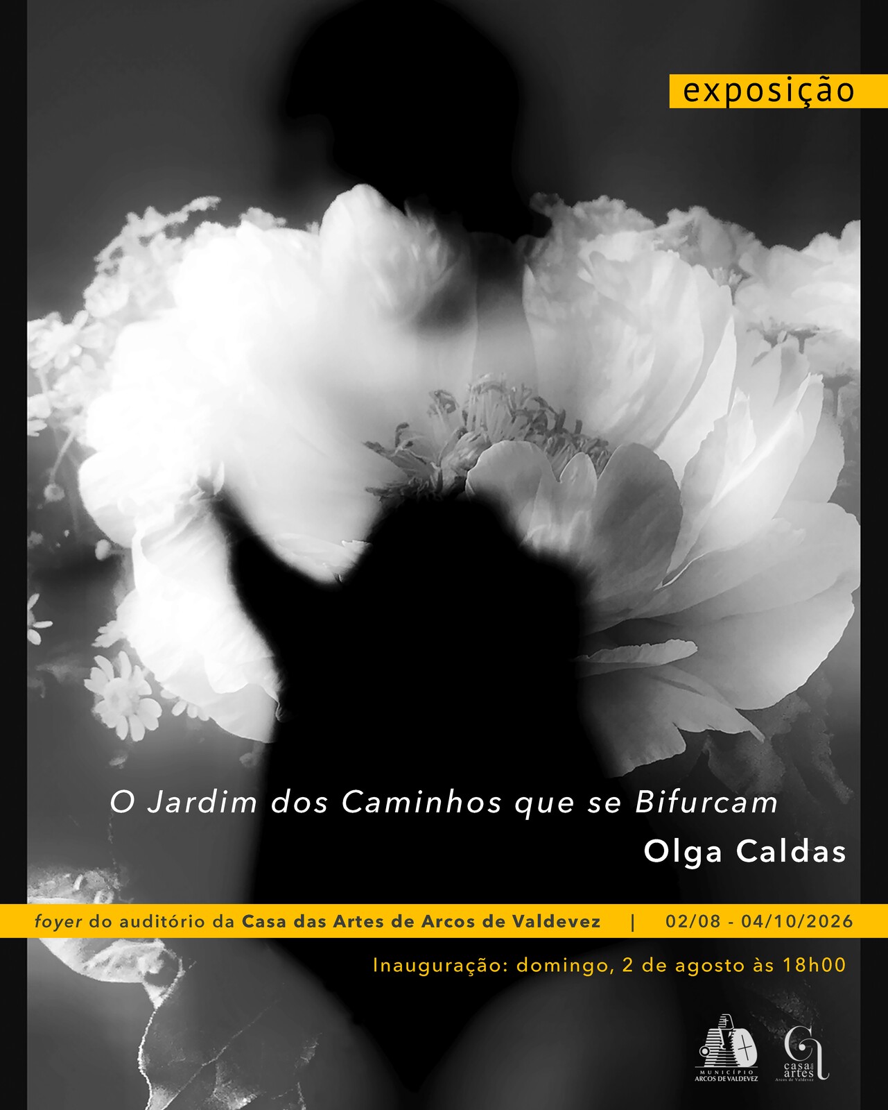 O jardim dos caminhos que se bifurcam