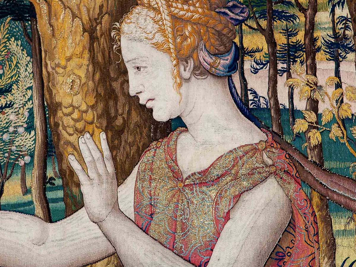 Natura Mirabilis: Arte e Natureza