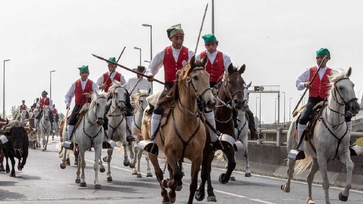 Festa do Colete Encarnado 2026
