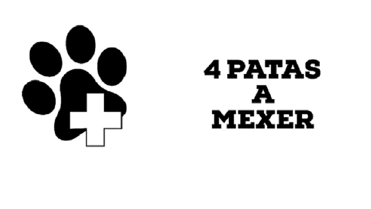 4 Patas a Mexer