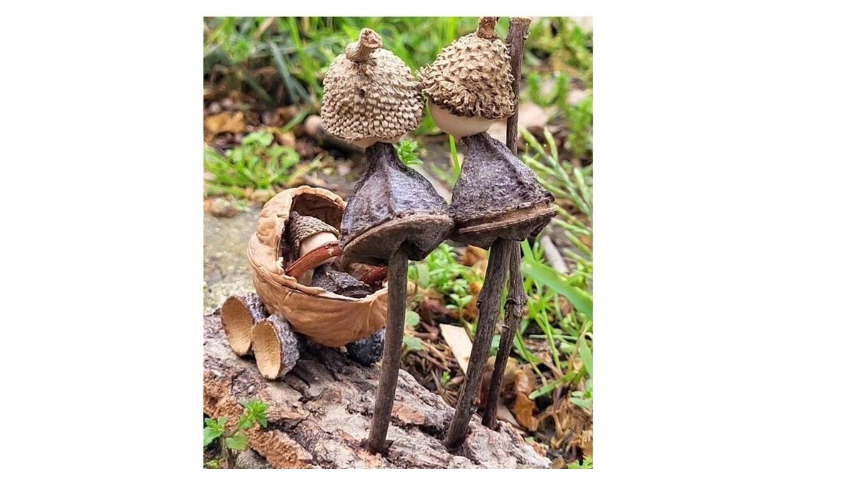 Amor em Família: um tributo à Mãe Natureza