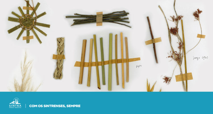 "Reverdecer" Exhibition at Museu da Água e Resíduos
