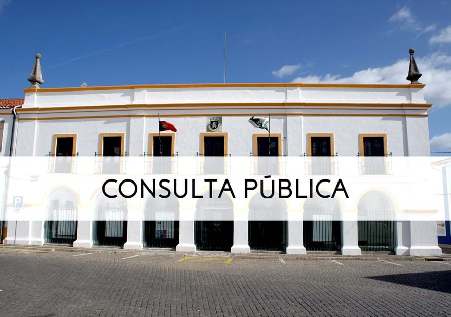 Vidigueira Municipality Public Consultations